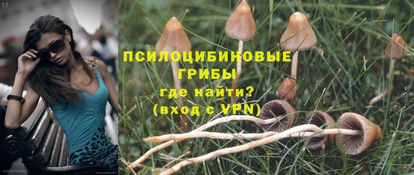 кокс Баксан