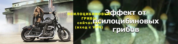 ECSTASY Вяземский