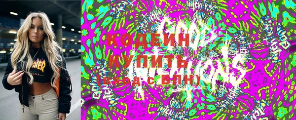 индика Вязники