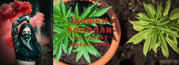 спиды Балабаново